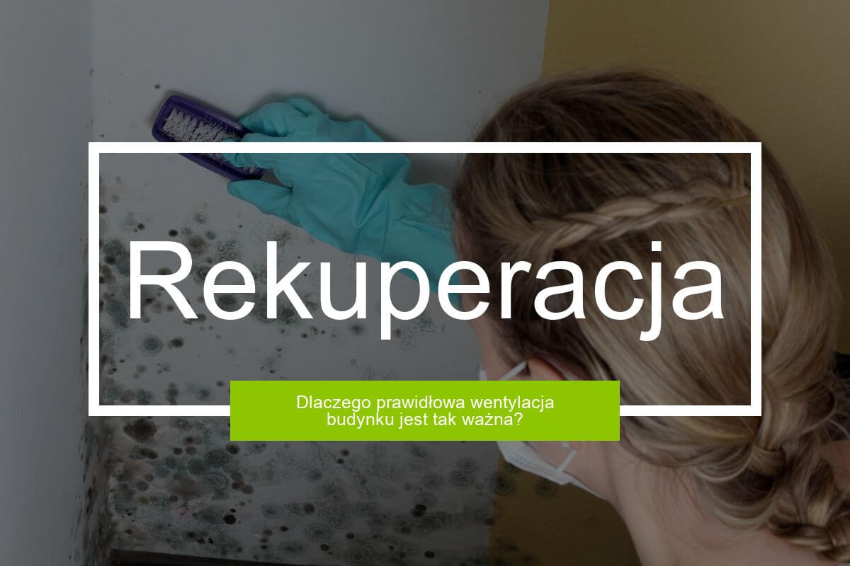 Dlaczego prawidłowa wentylacja budynku jest tak ważna?