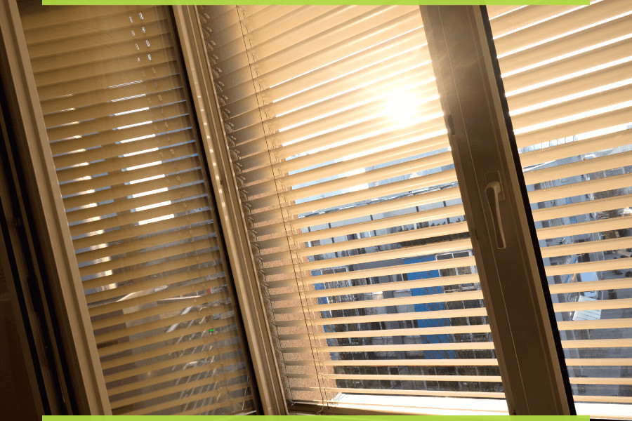 Żaluzje okienne widoczne w pełnym słońcu