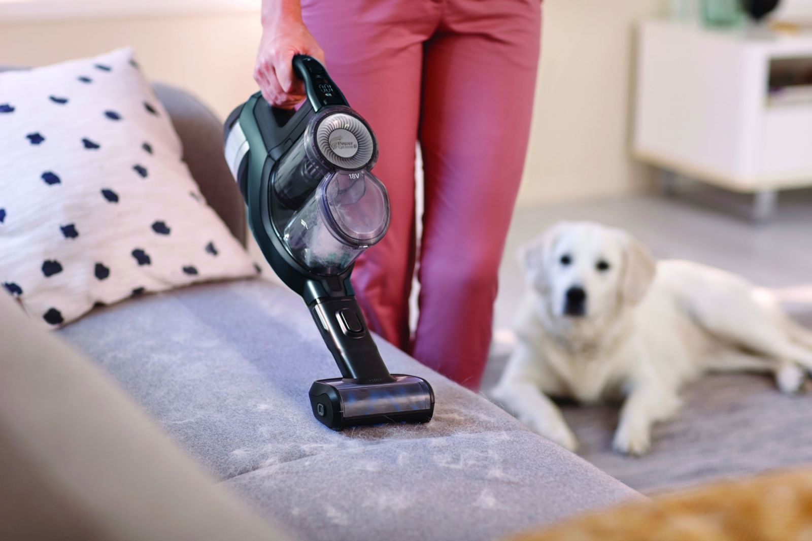 zwierzaki w domu czy odkurzacz bezprzewodowy się sprawdzi